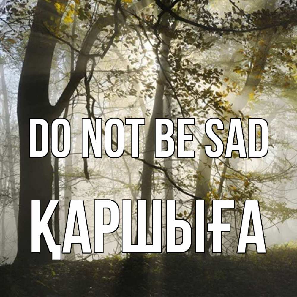 Greetings card с именем, Қаршыға Do not be sad лес и свет Greetings with text for free download 