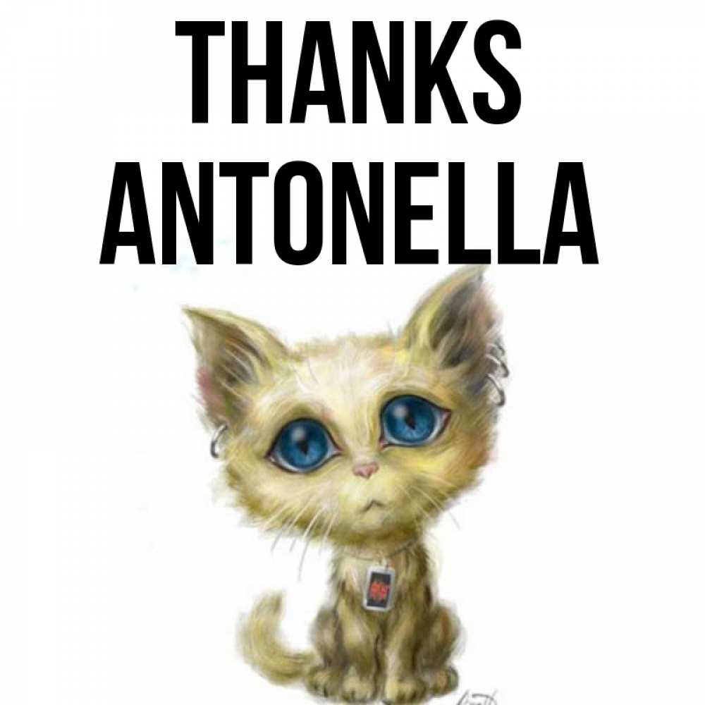 Greetings card с именем, Antonella Thanks рисованный кот благодарит вас Greetings with text for free download 