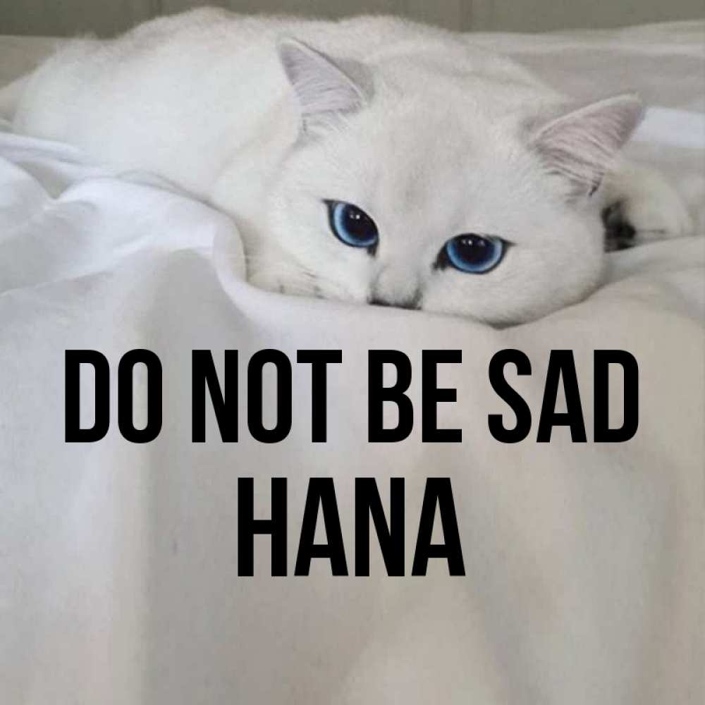 Greetings card с именем, Hana Do not be sad Голубоглазая кошка Greetings with text for free download 