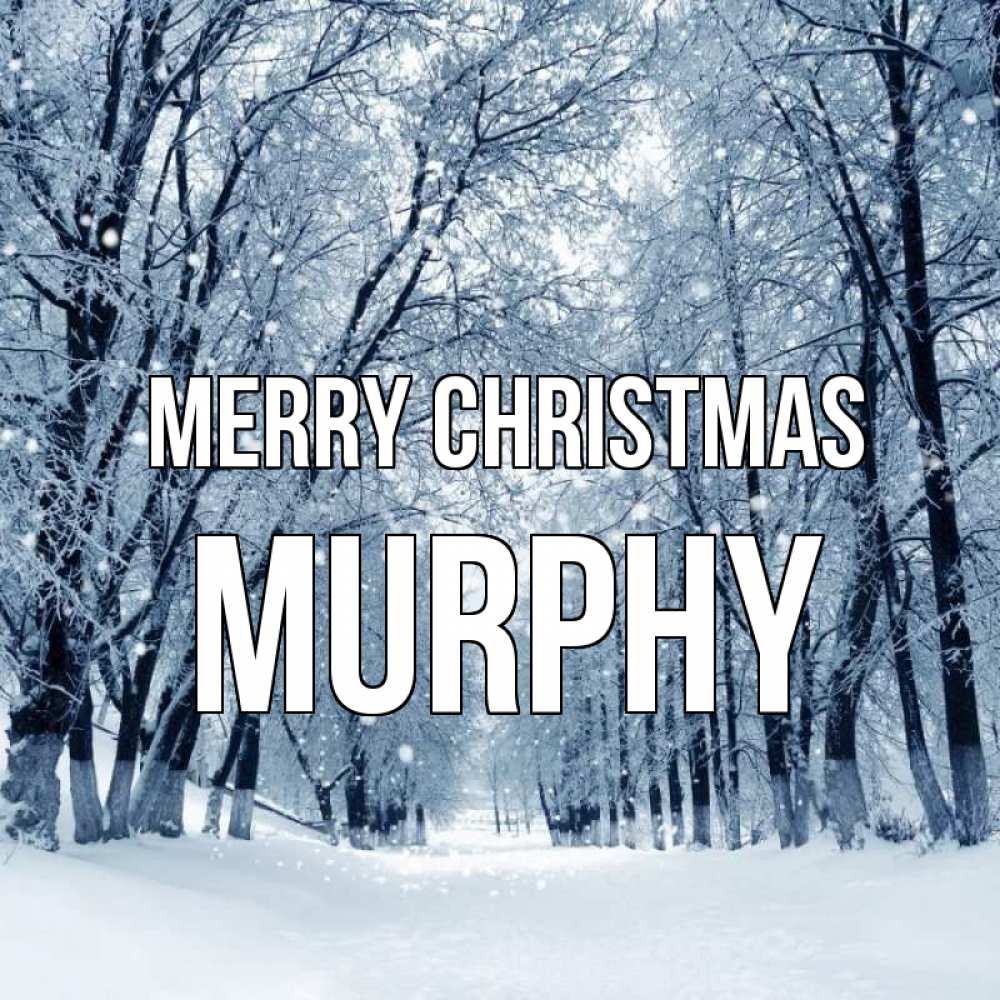 Greetings card с именем, Murphy Merry Christmas снег, лес, парк Greetings with text for free download 