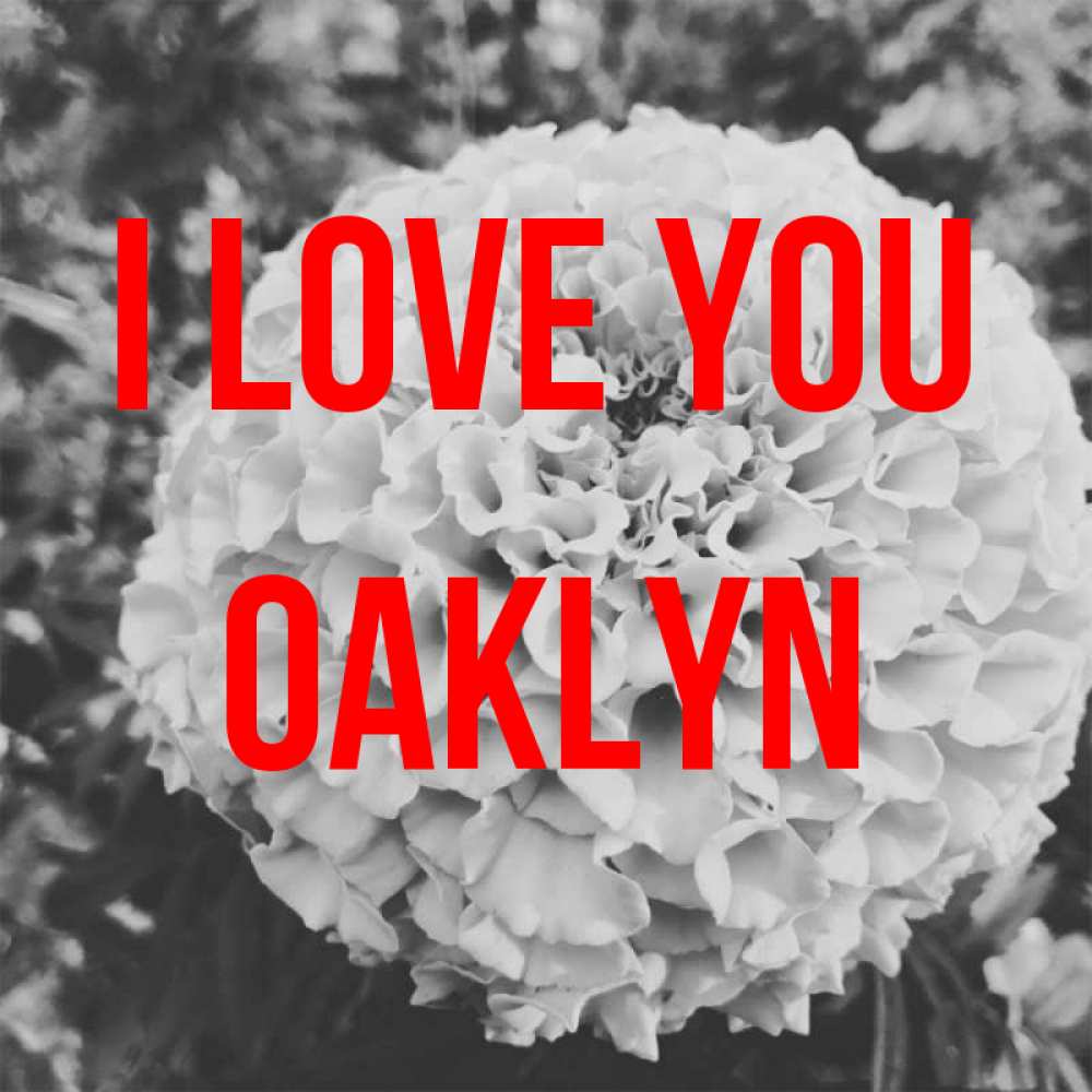 Greetings card с именем, Oaklyn I love you подпись Greetings with text for free download 