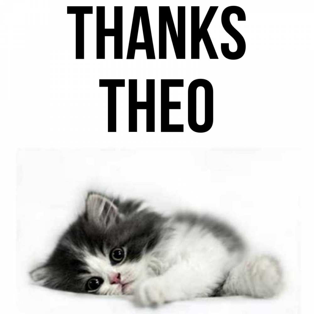 Greetings card с именем, Theo Thanks черный и белый кот Greetings with text for free download 