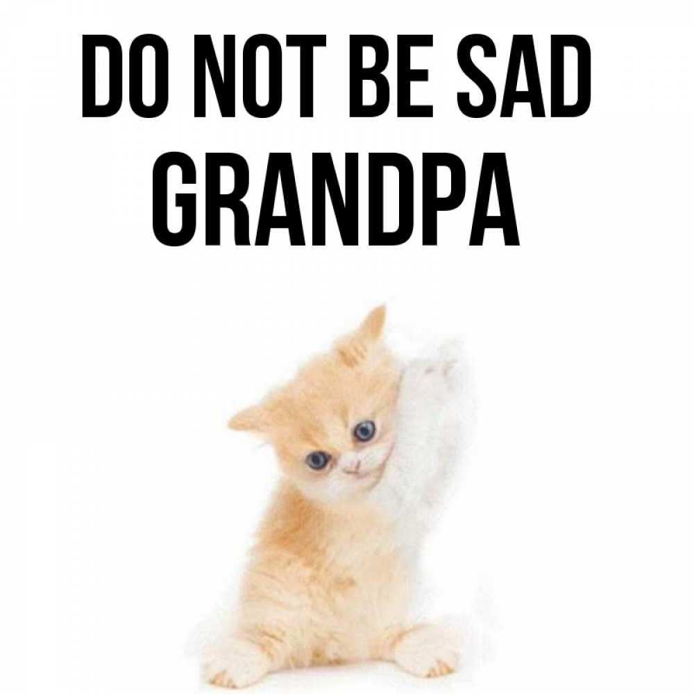 Greetings card с именем, grandpa Do not be sad просящий кот Greetings with text for free download 