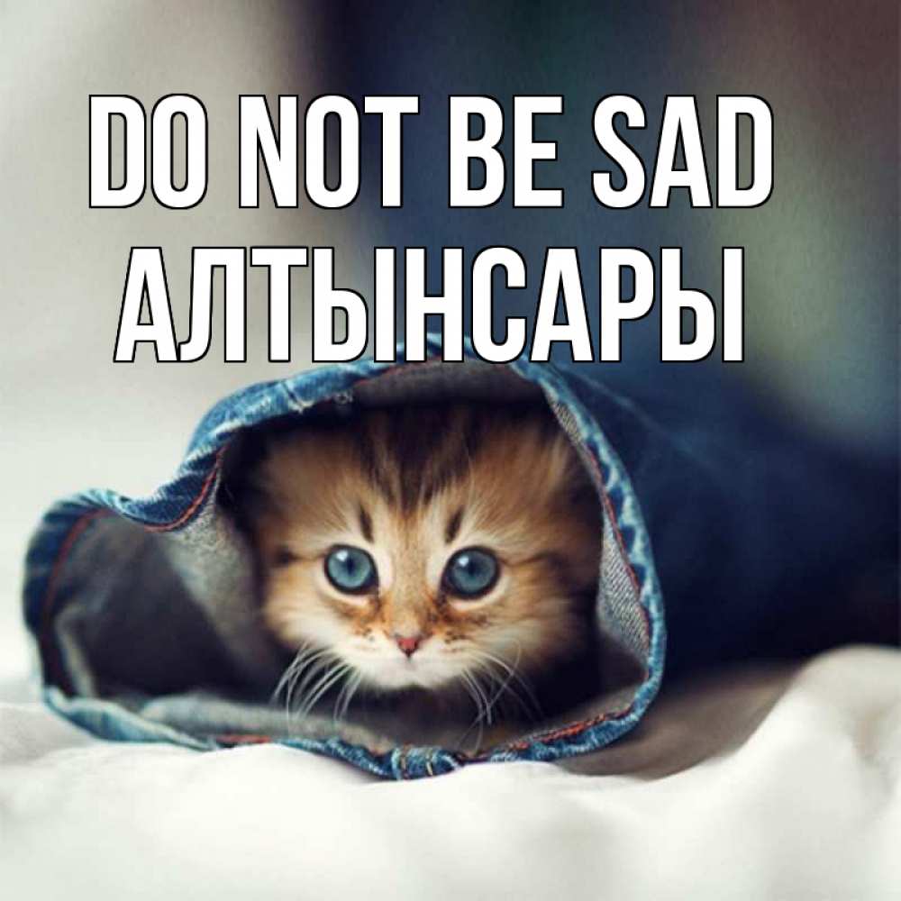 Greetings card с именем, Алтынсары Do not be sad рыжик котик Greetings with text for free download 