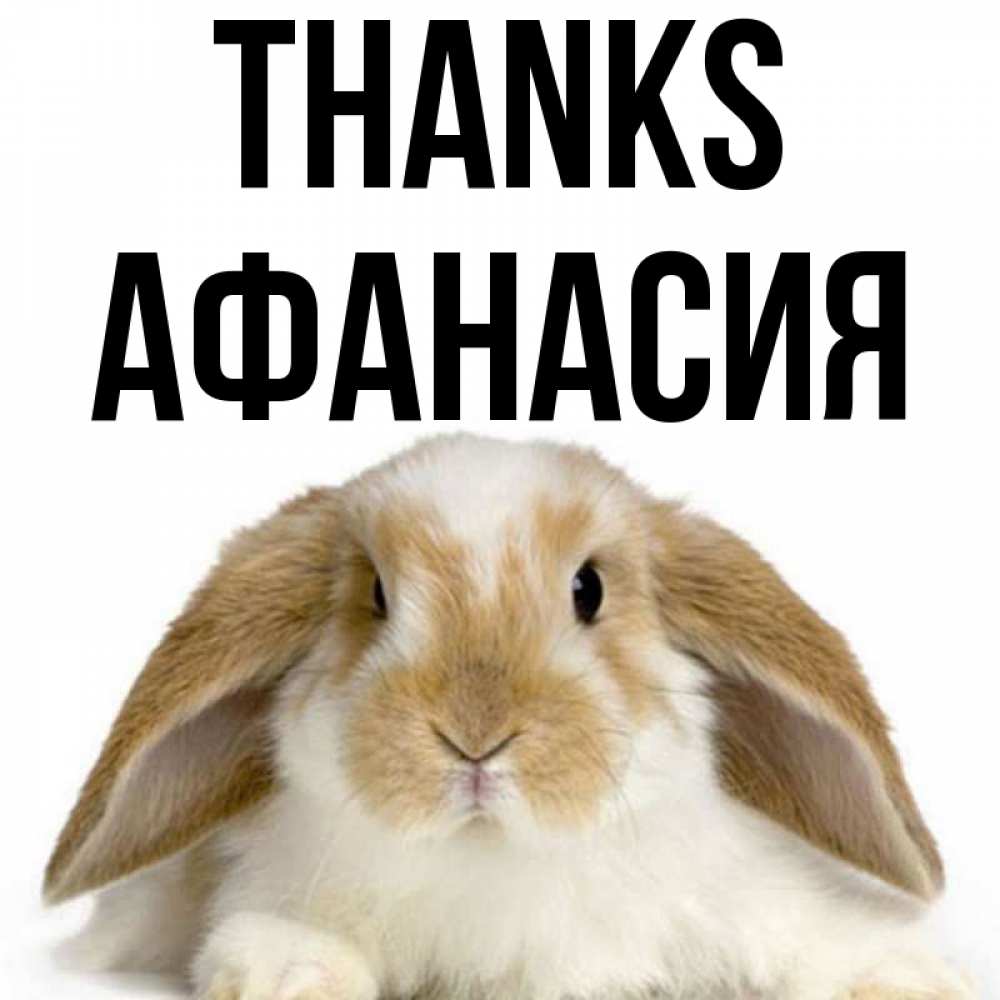 Greetings card с именем, Афанасия Thanks коричнево белый заяц Greetings with text for free download 