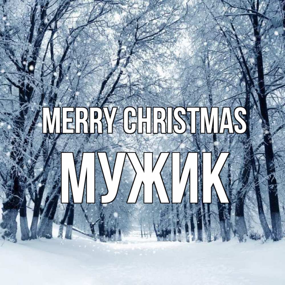 Greetings card с именем, Мужик Merry Christmas снег, лес, парк Greetings with text for free download 