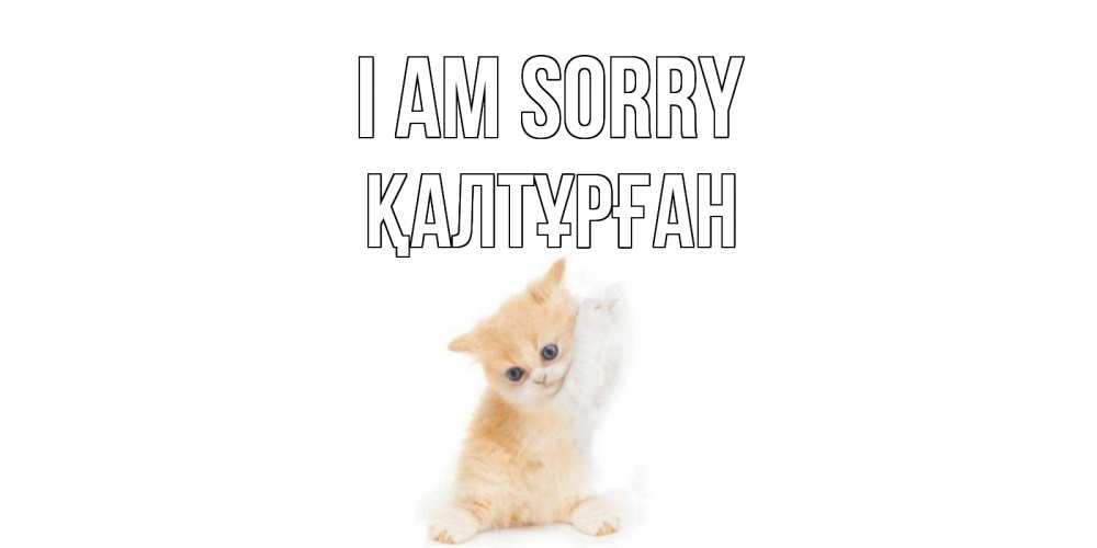Greetings card с именем, ҚАЛТҰРҒАН I am sorry кот Greetings with text for free download 