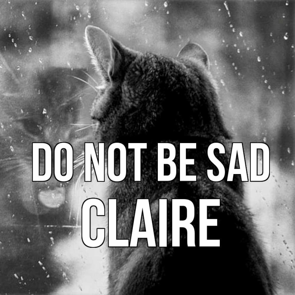 Greetings card с именем, Claire Do not be sad отражение кота 1 Greetings with text for free download 