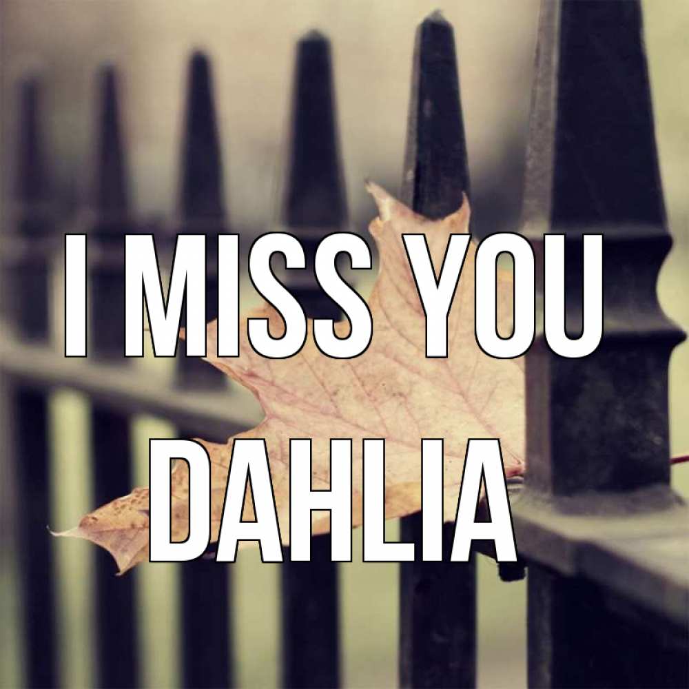 Greetings card с именем, Dahlia I miss you очень скучно Greetings with text for free download 