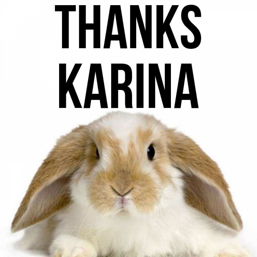 Greetings card с именем, Karina Thanks коричнево белый заяц Greetings with text for free download 