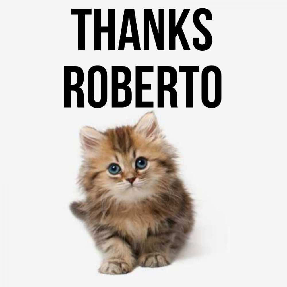Greetings card с именем, Roberto Thanks пушистый котик Greetings with text for free download 