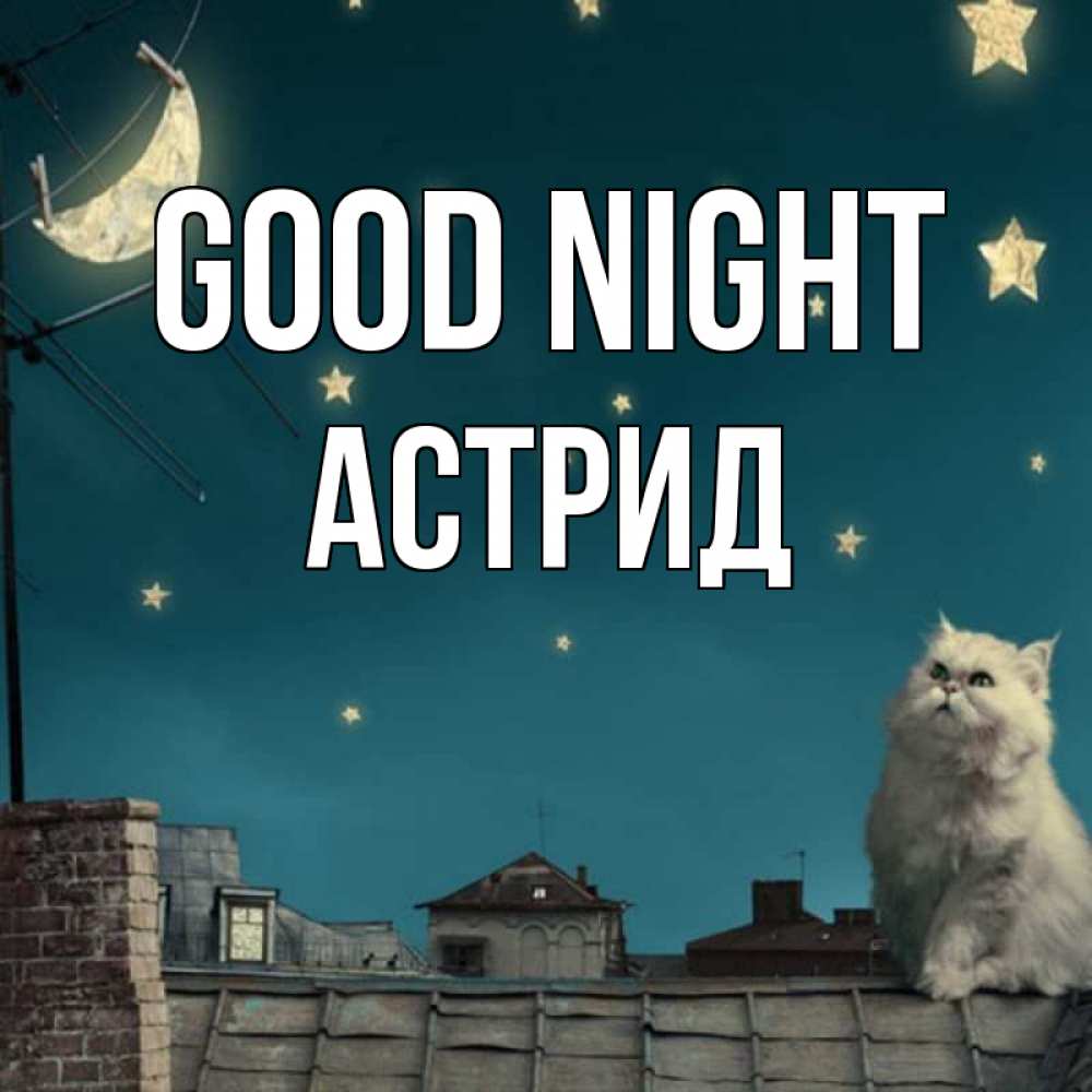 Greetings card с именем, Астрид Good night белый кот сидит на крыше Greetings with text for free download 