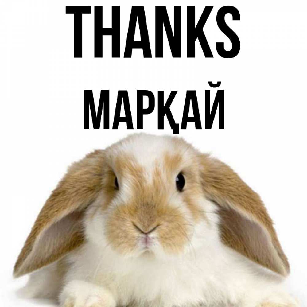 Greetings card с именем, МАРҚАЙ Thanks коричнево белый заяц Greetings with text for free download 