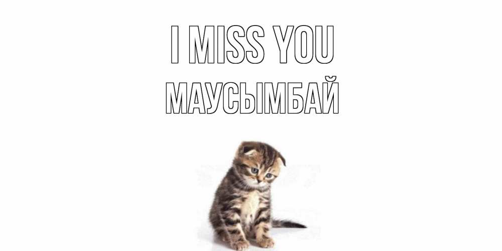 Greetings card с именем, МАУСЫМБАЙ I miss you кот Greetings with text for free download 