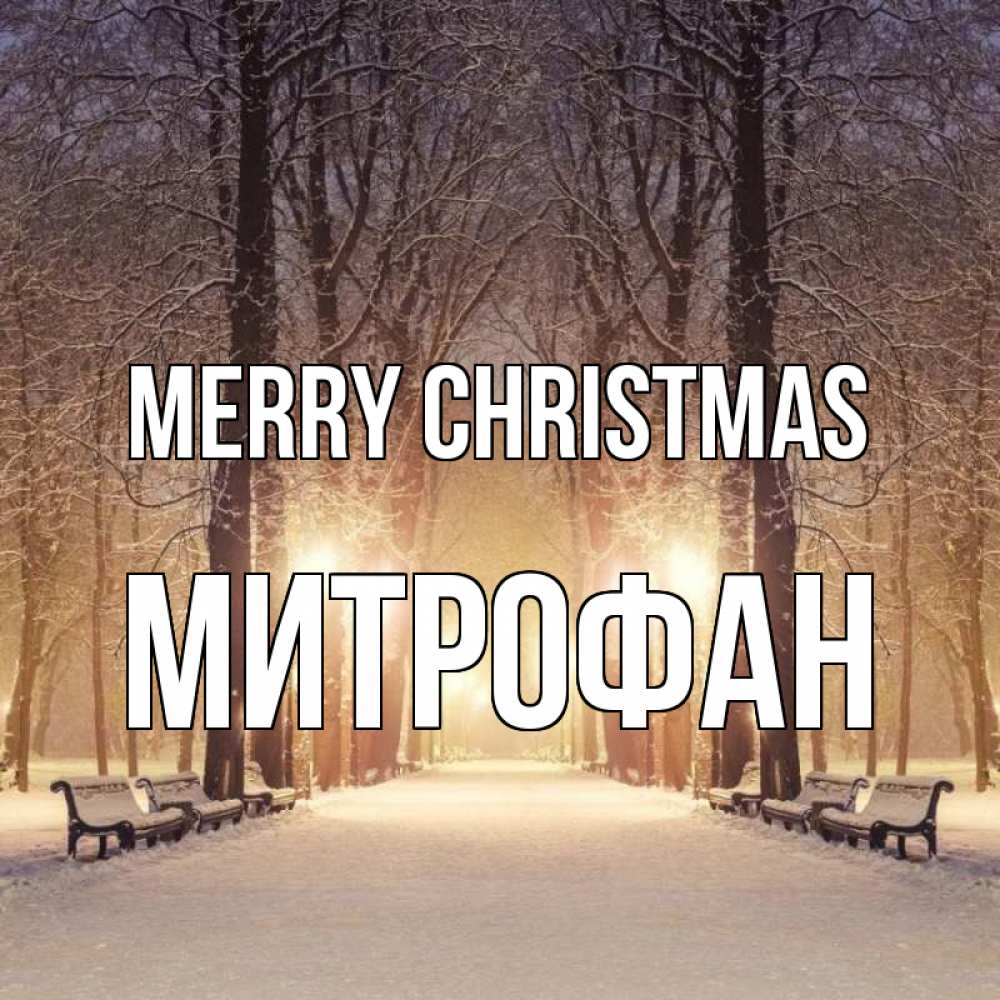 Greetings card с именем, Митрофан Merry Christmas зима, парк, фонарь, лес Greetings with text for free download 