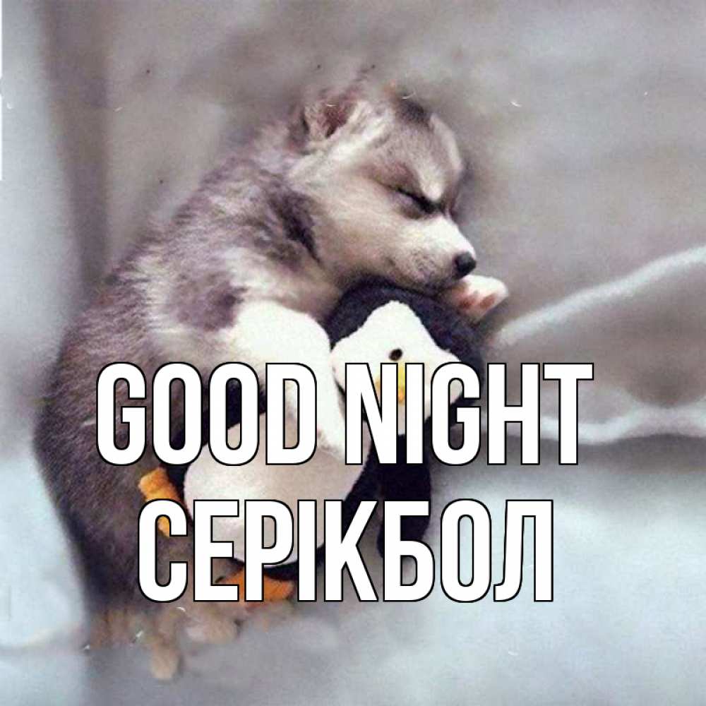 Greetings card с именем, СЕРІКБОЛ Good night обнимашки щенка и пингвина Greetings with text for free download 