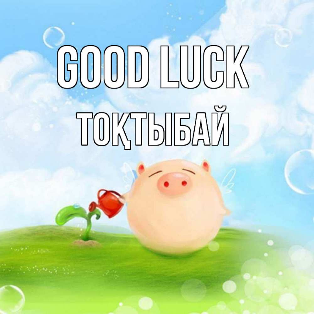 Greetings card с именем, ТОҚТЫБАЙ Good luck поросенок поливает цветок. летнее настроение Greetings with text for free download 