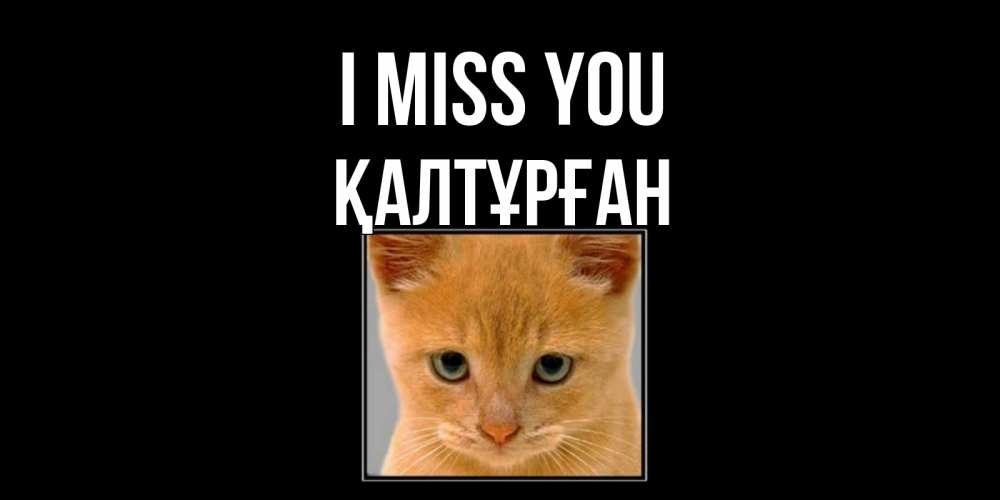 Greetings card с именем, ҚАЛТҰРҒАН I miss you открытки рыжий котенок скучает по тебе Greetings with text for free download 