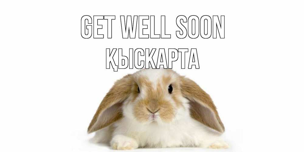 Greetings card с именем, Қыскарта Get well soon вислоухий кролик белого и коричневого цвета Greetings with text for free download 