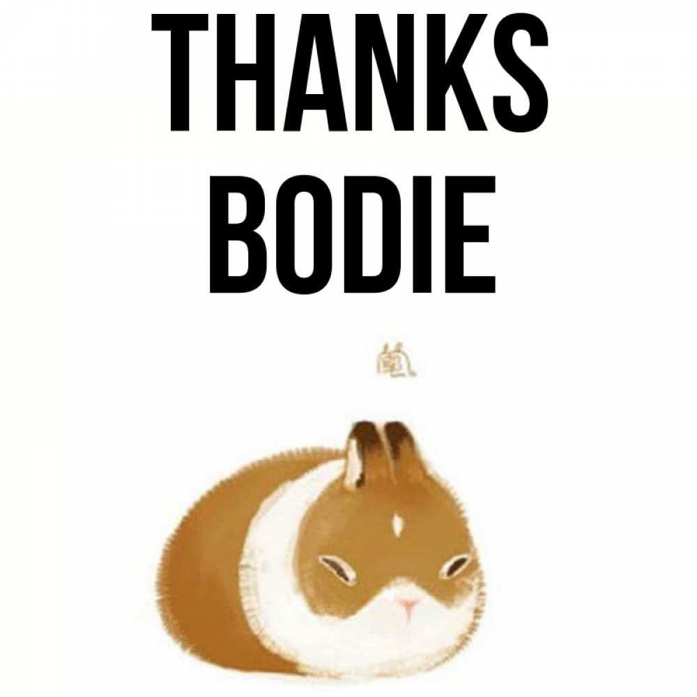 Greetings card с именем, Bodie Thanks коричнево белый домашний питомец Greetings with text for free download 
