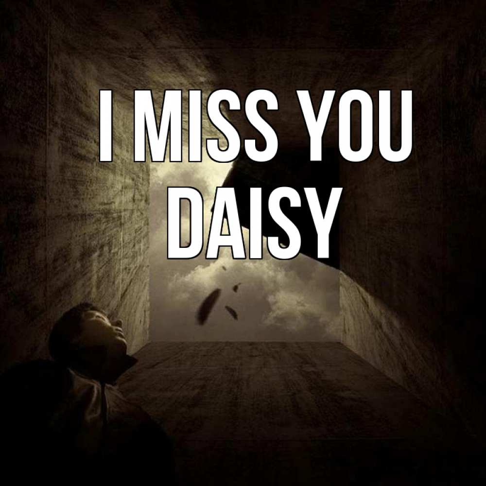 Greetings card с именем, Daisy I miss you тут Greetings with text for free download 