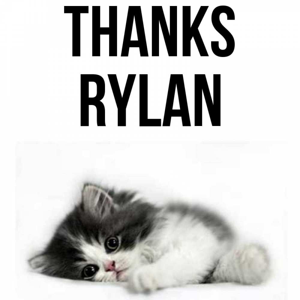 Greetings card с именем, Rylan Thanks черный и белый кот Greetings with text for free download 