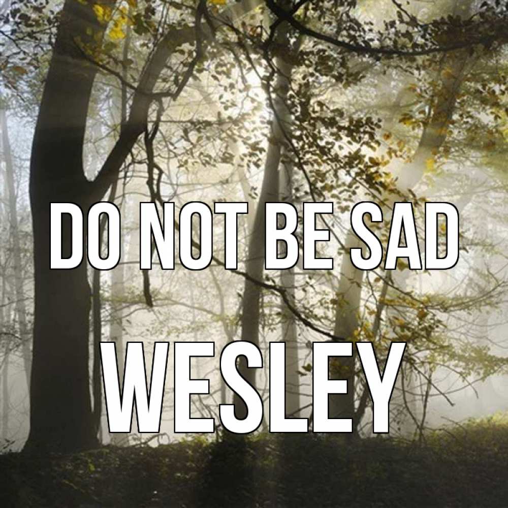 Greetings card с именем, Wesley Do not be sad лес и свет Greetings with text for free download 