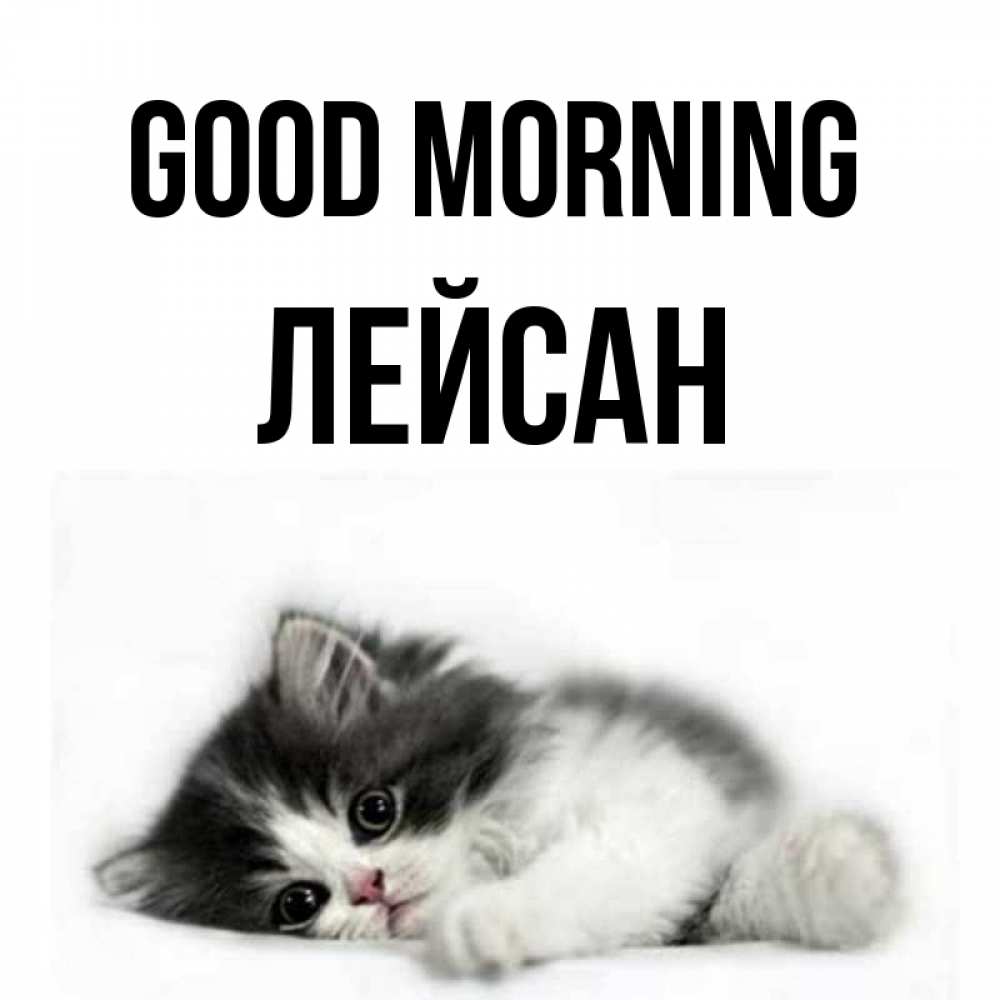 Greetings card с именем, Лейсан Good morning кот лапки Greetings with text for free download 