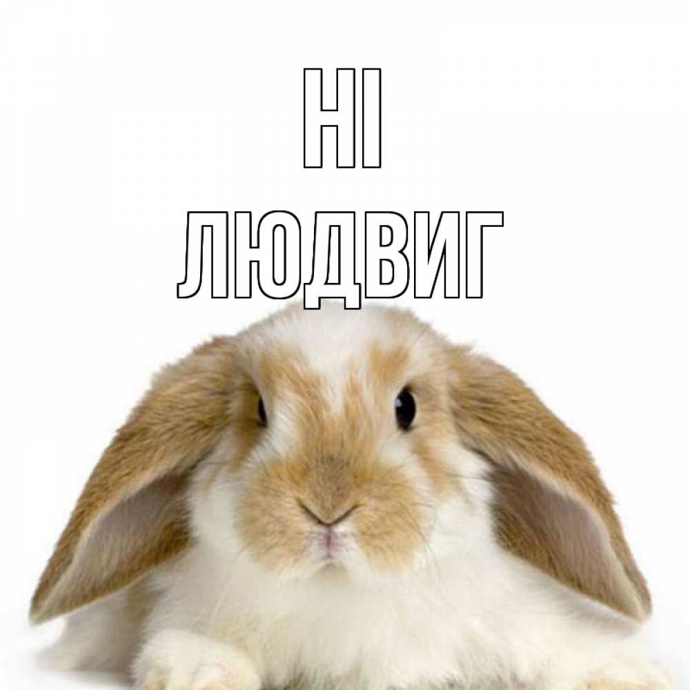 Greetings card с именем, Людвиг Hi с животными Greetings with text for free download 