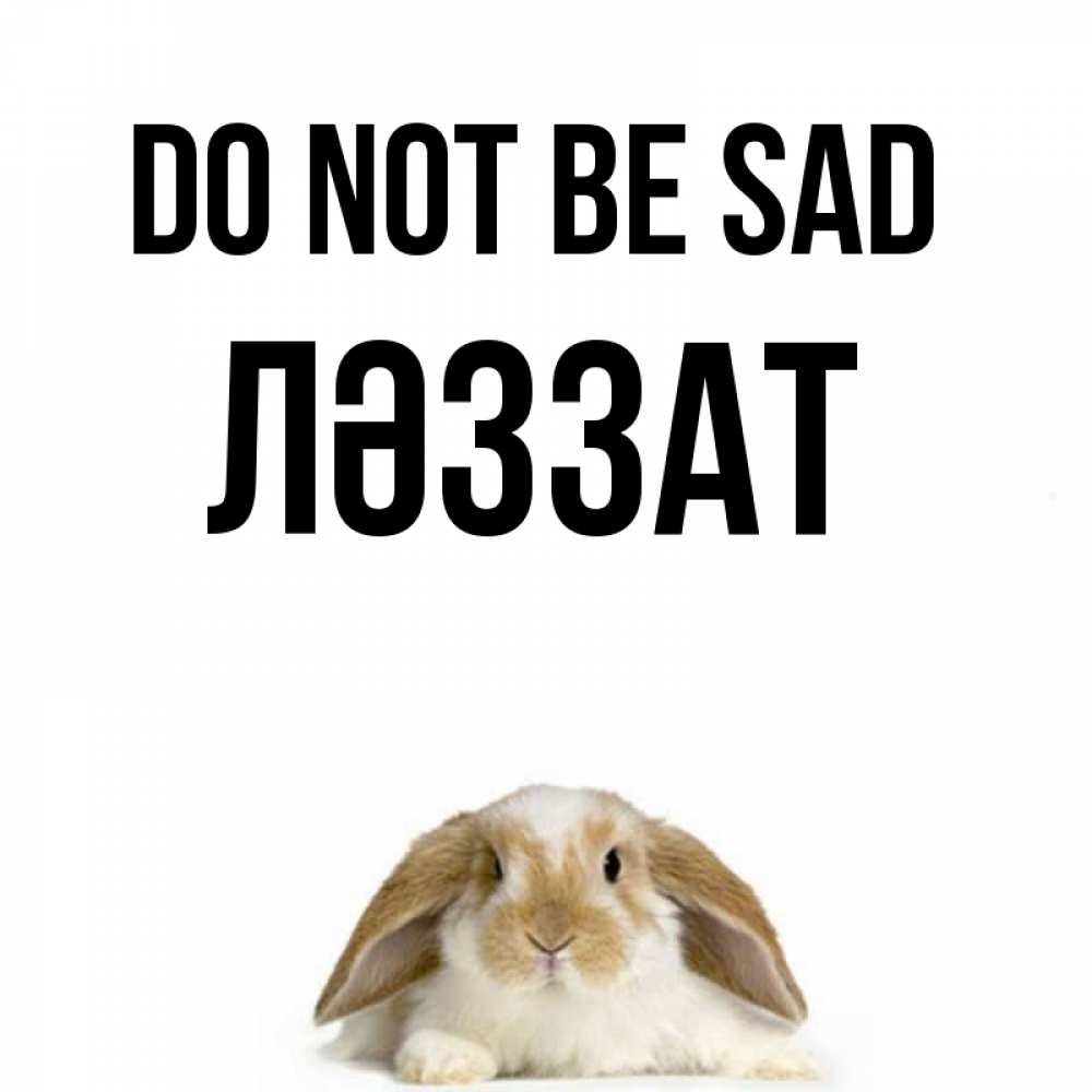 Greetings card с именем, ЛӘЗЗАТ Do not be sad коричнево белый заяц с большими ушками Greetings with text for free download 