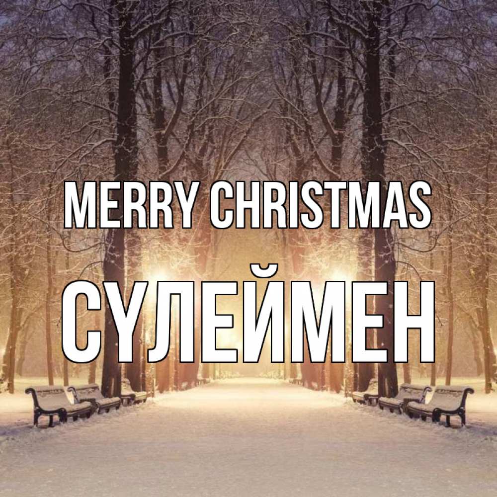 Greetings card с именем, СҮЛЕЙМЕН Merry Christmas зима, парк, фонарь, лес Greetings with text for free download 