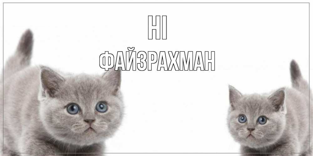 Greetings card с именем, ФАЙЗРАХМАН Hi коты Greetings with text for free download 
