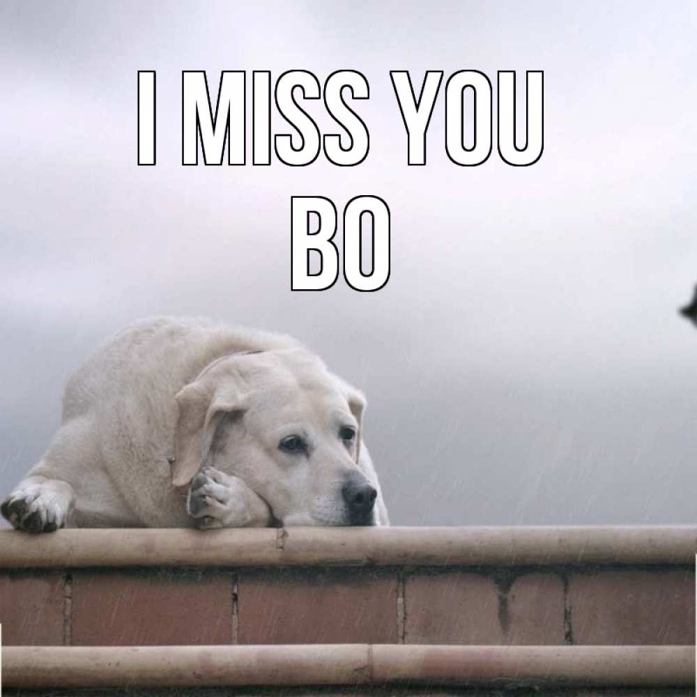 Greetings card с именем, Bo I miss you ждет Greetings with text for free download 