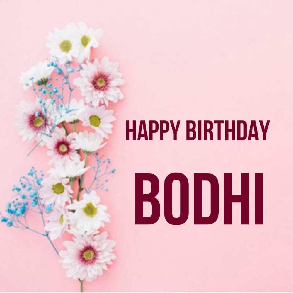 Greetings card с именем, Bodhi Happy Birthday Родная моя с днем рождения тебя картинка с цветами белыми и голубыми Greetings with text for free download 