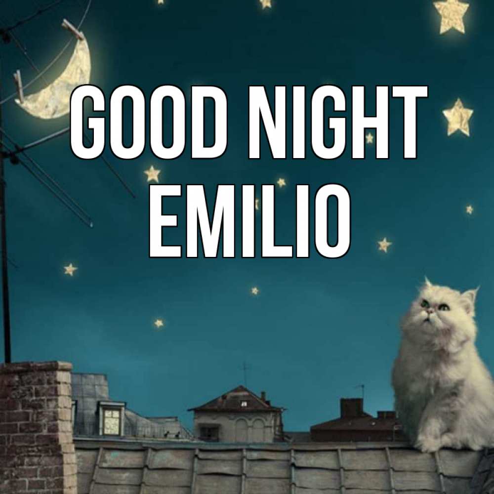 Greetings card с именем, Emilio Good night белый кот сидит на крыше Greetings with text for free download 