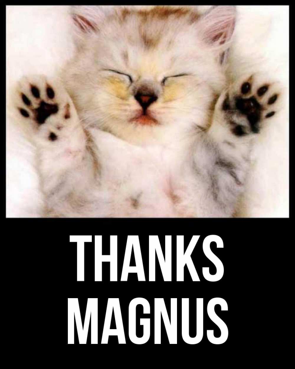 Greetings card с именем, Magnus Thanks маленький котенок Greetings with text for free download 