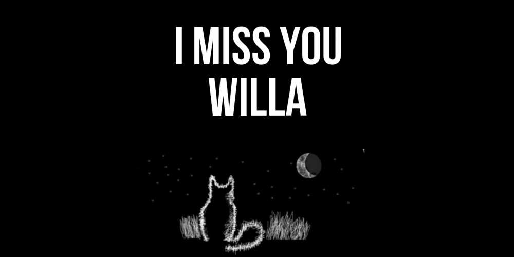 Greetings card с именем, Willa I miss you кот Greetings with text for free download 