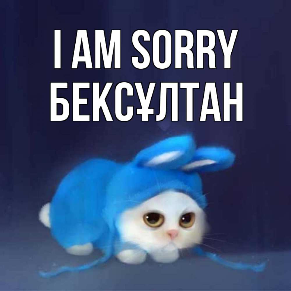 Greetings card с именем, Бексұлтан I am sorry невинный котозай просит прощения Greetings with text for free download 