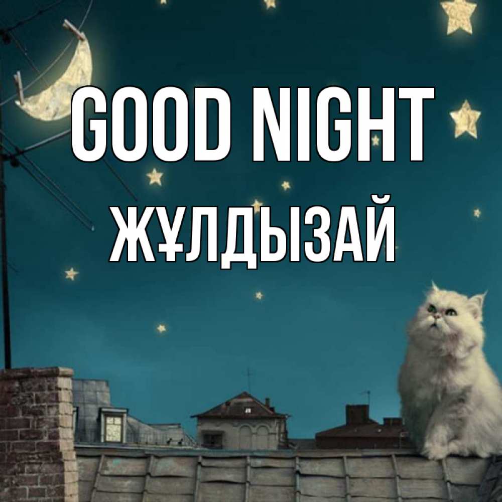 Greetings card с именем, ЖҰЛДЫЗАЙ Good night белый кот сидит на крыше Greetings with text for free download 
