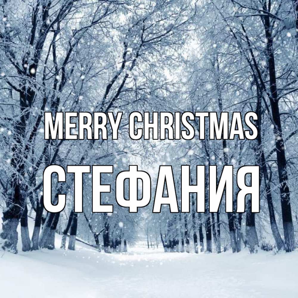 Greetings card с именем, Стефания Merry Christmas снег, лес, парк Greetings with text for free download 