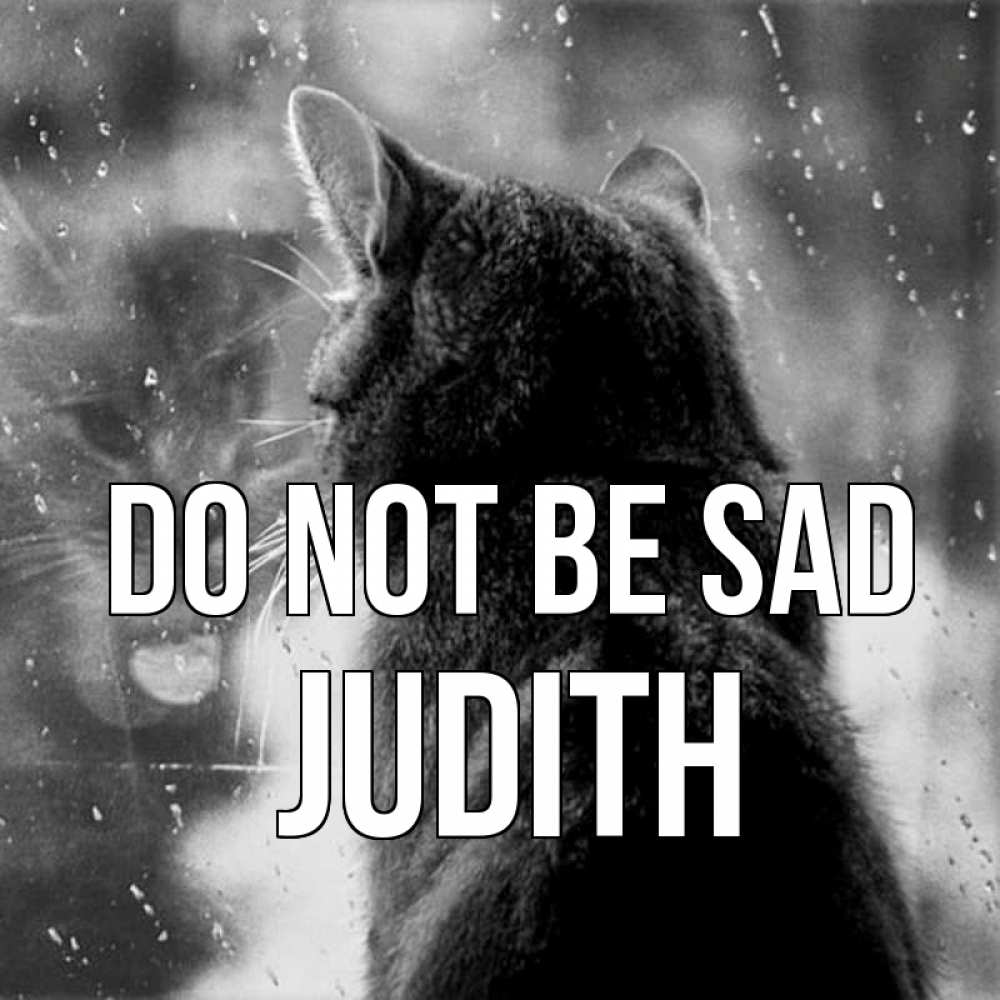 Greetings card с именем, Judith Do not be sad отражение кота 1 Greetings with text for free download 