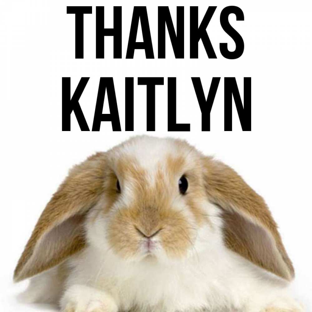 Greetings card с именем, Kaitlyn Thanks коричнево белый заяц Greetings with text for free download 