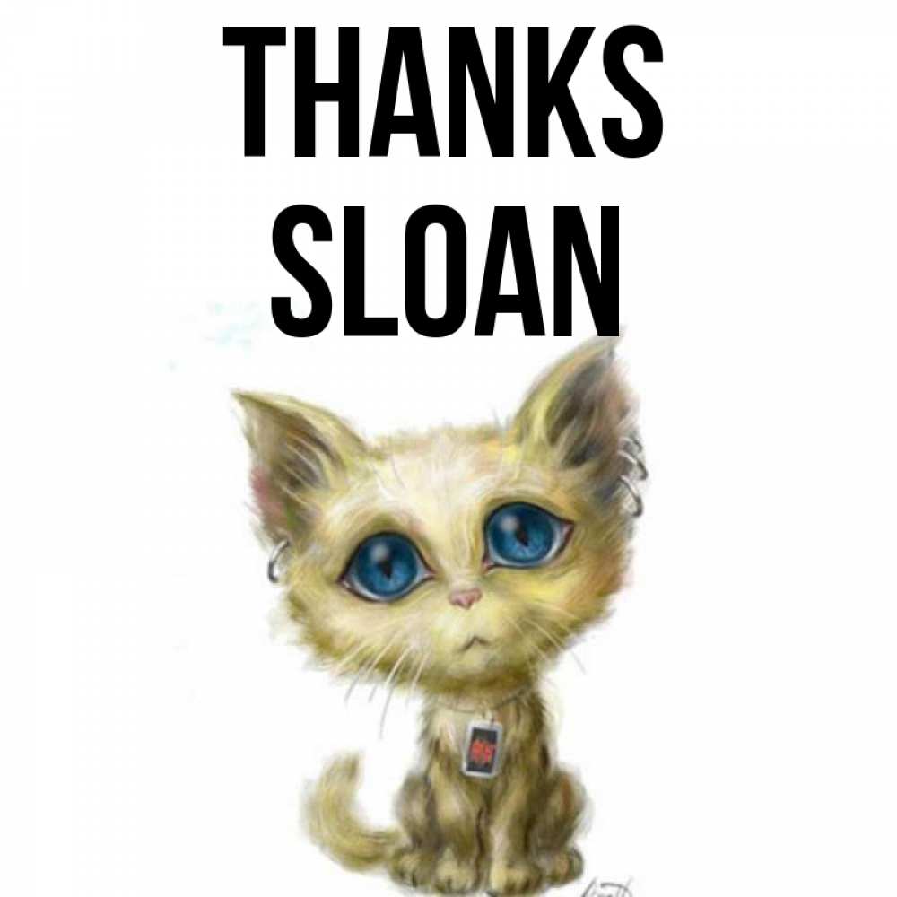 Greetings card с именем, Sloan Thanks рисованный кот благодарит вас Greetings with text for free download 