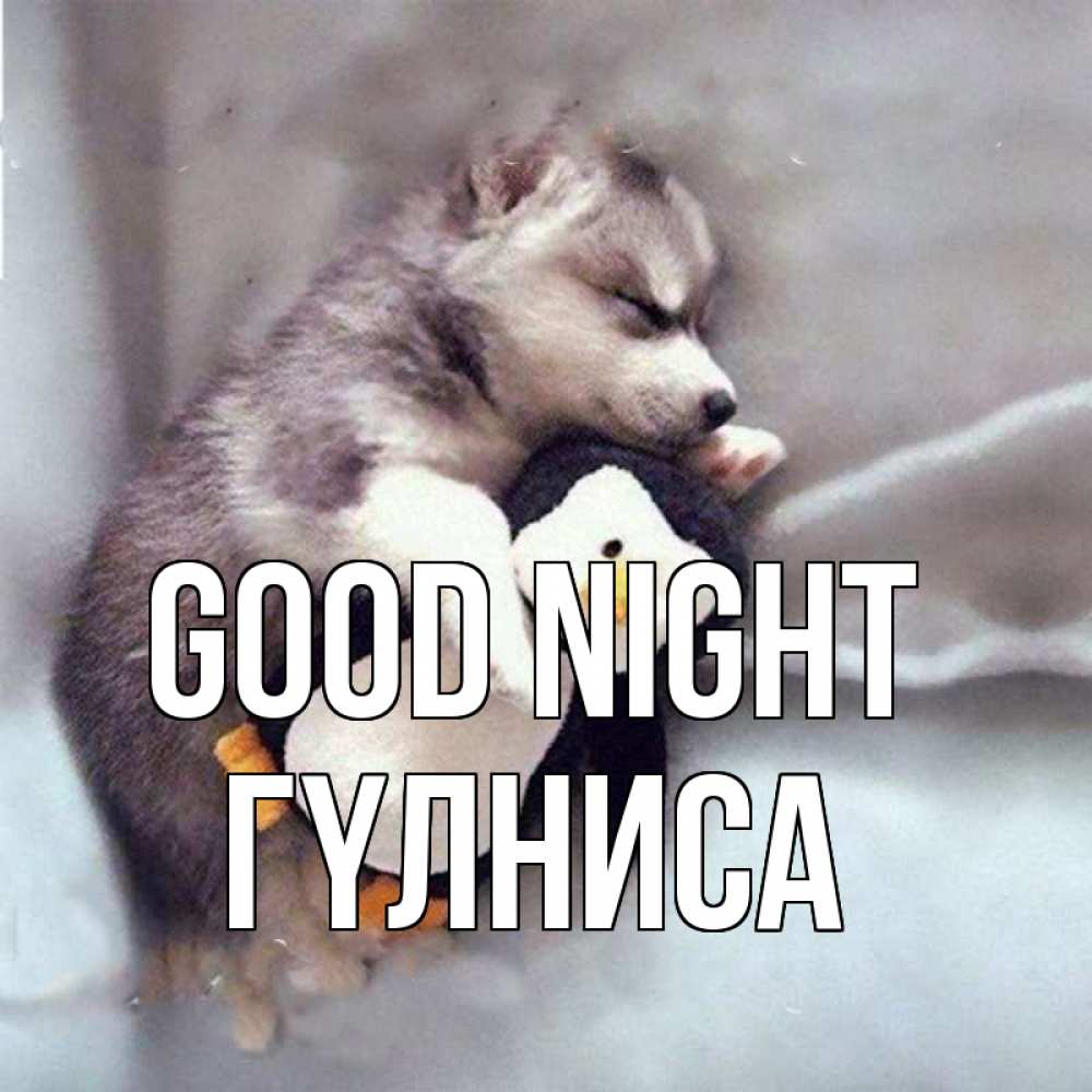 Greetings card с именем, ГҮЛНИСА Good night обнимашки щенка и пингвина Greetings with text for free download 