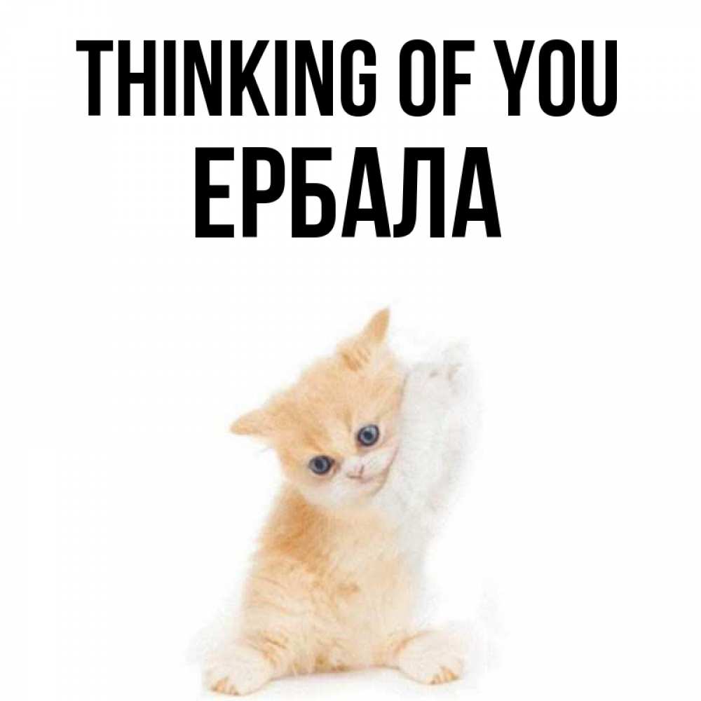 Greetings card с именем, Ербала Thinking of you зверушки и милота Greetings with text for free download 