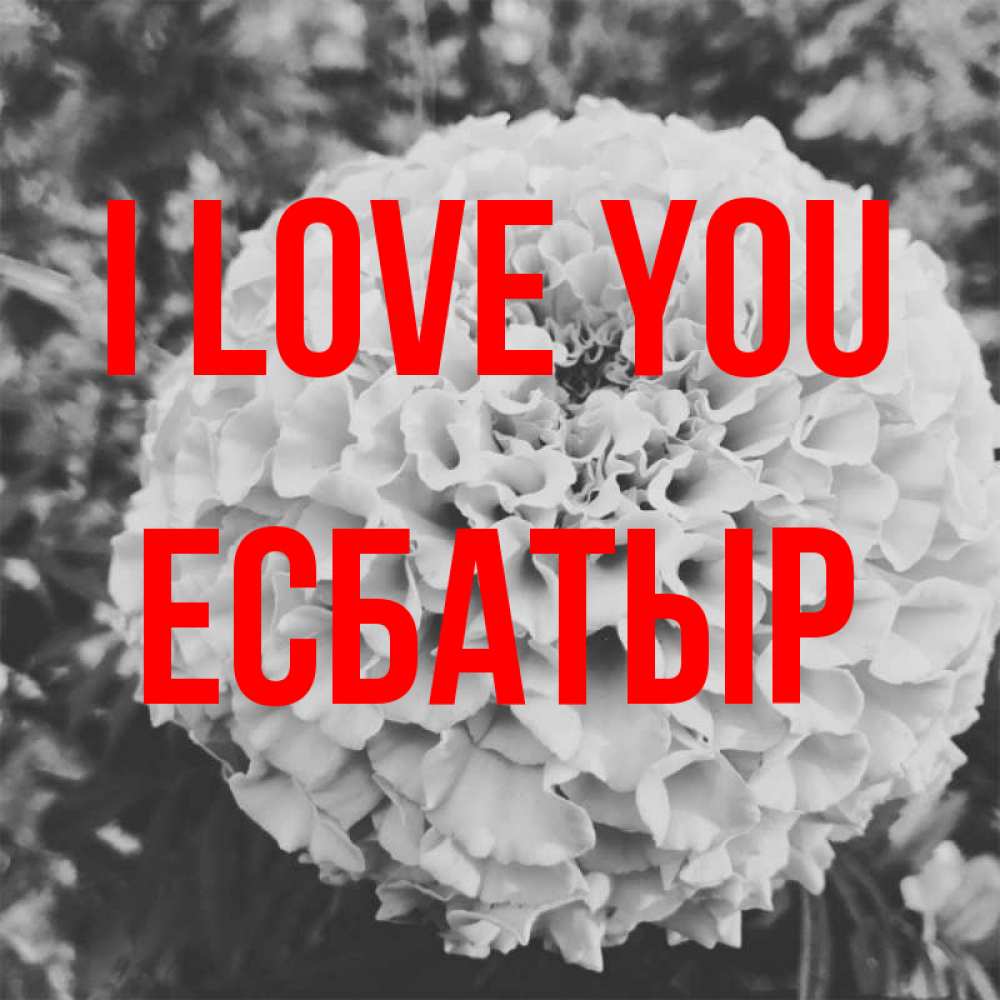 Greetings card с именем, Есбатыр I love you подпись Greetings with text for free download 