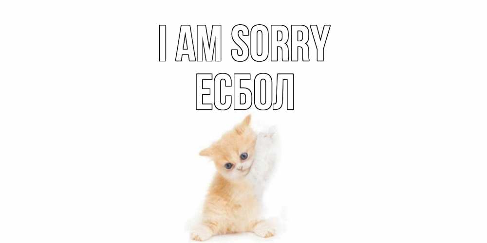 Greetings card с именем, Есбол I am sorry кот Greetings with text for free download 