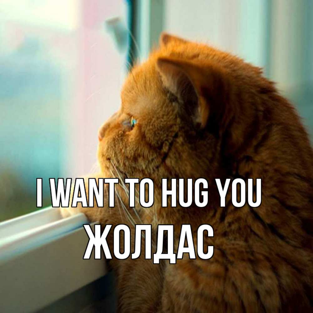 Greetings card с именем, Жолдас I want to hug you большой огромный рыжий котяра Greetings with text for free download 