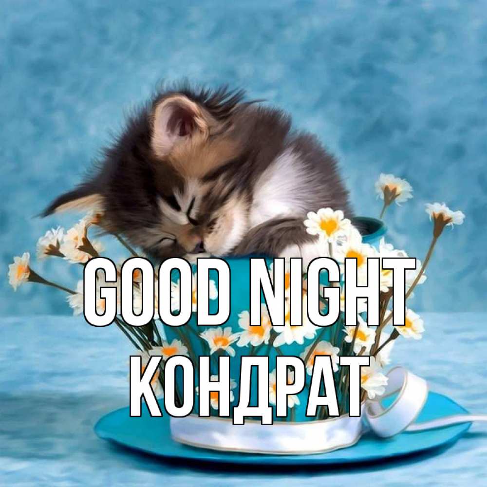 Greetings card с именем, Кондрат Good night котенок спит в кружке с блюдцем Greetings with text for free download 
