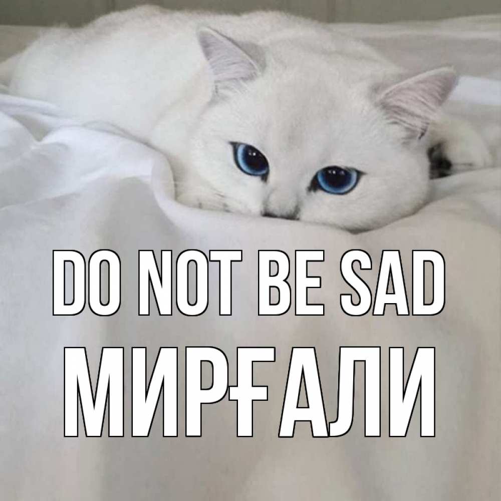 Greetings card с именем, МИРҒАЛИ Do not be sad белый кот с голубыми глазами на белоснежной кровати Greetings with text for free download 